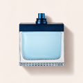 GUESS Seductive Homme Blue 100 ml