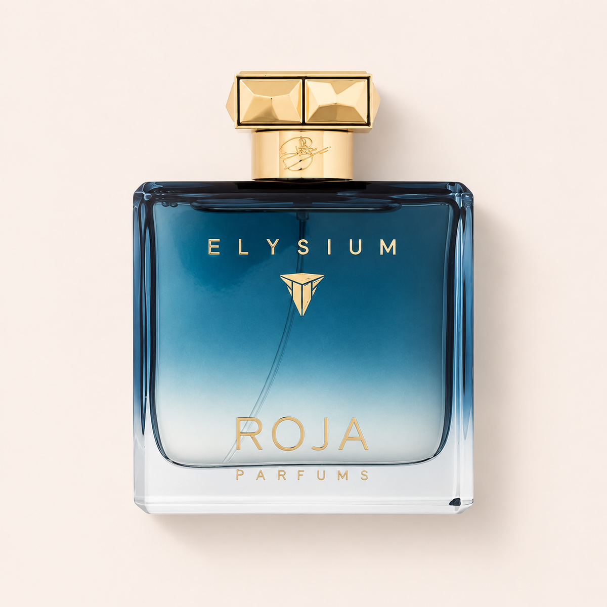 Roja Parfums Elysium 100 ml – MrRizz