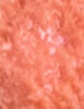 Gabriella Salvete Lip Plumper 9 ml - 9ml - Lesk na rty
