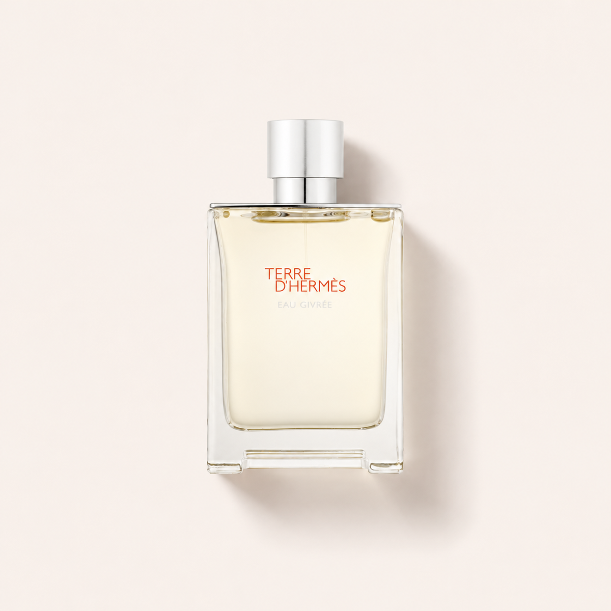 Hermes Terre d'Hermes Eau Givrée 100 ml – parfémovaná voda – MrRizz