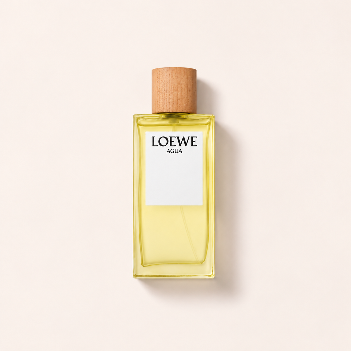 Loewe Agua 100 ml – toaletní voda – MrRizz