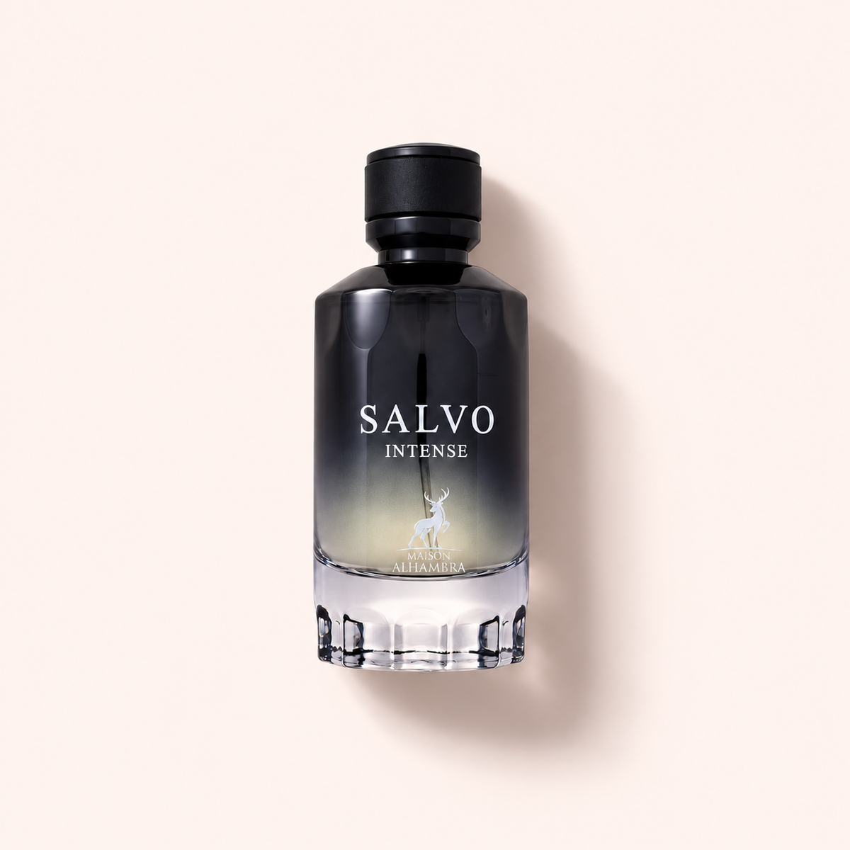 Maison Alhambra Salvo Intense parfémovaná voda 100 ml, černý flakon – MrRizz