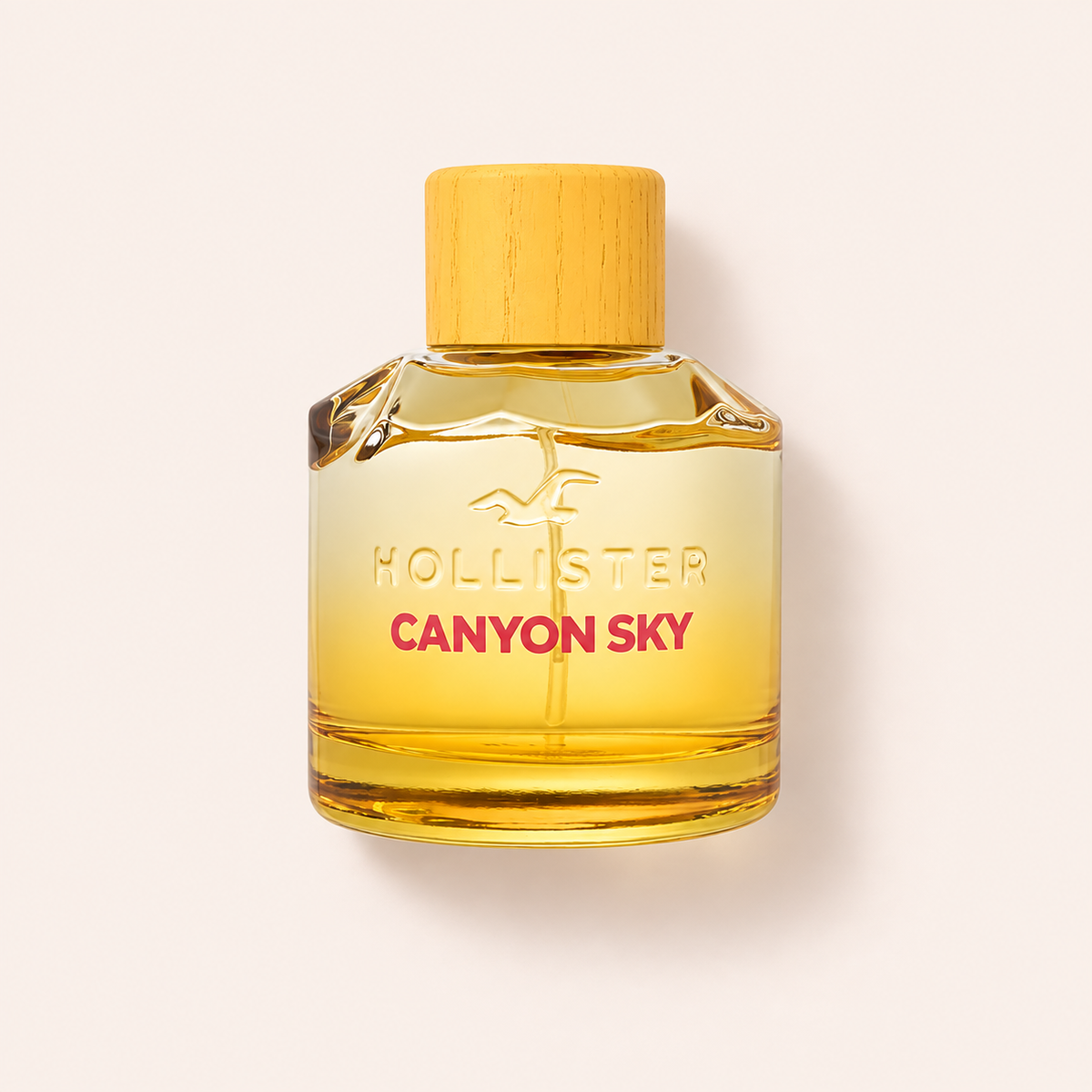 Hollister Canyon Sky 100 ml – MrRizz