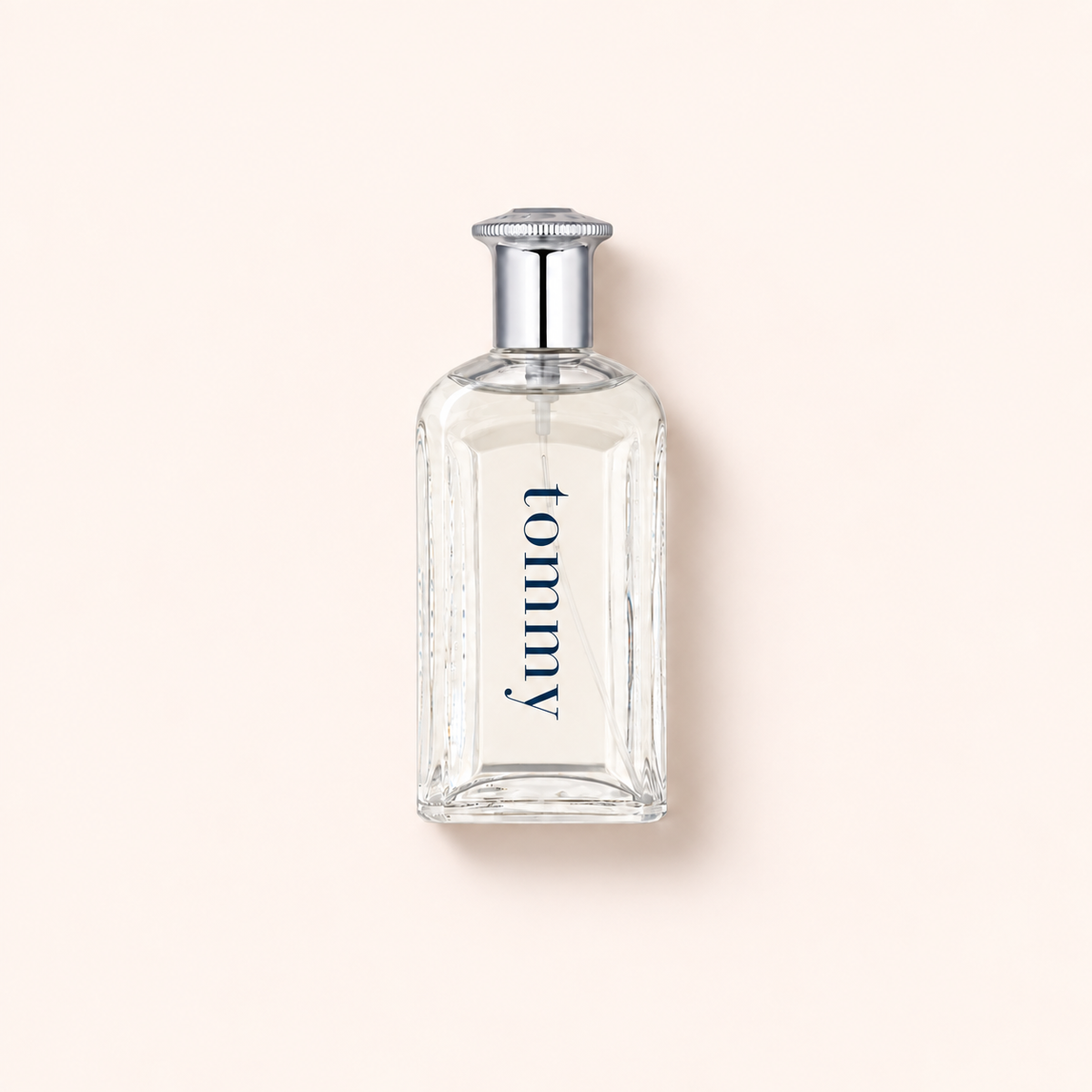 Tommy Hilfiger Tommy 100 ml – MrRizz