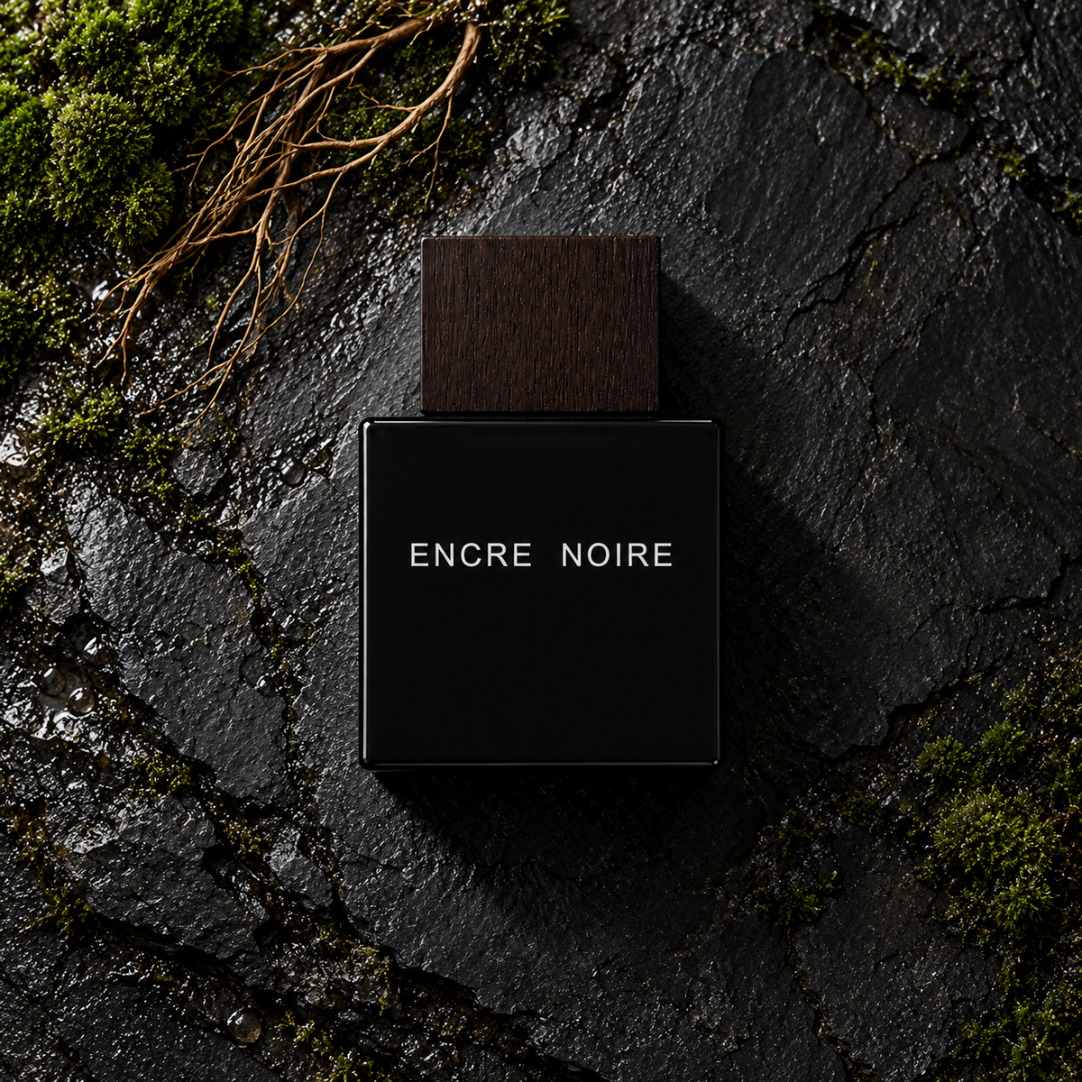 Lalique Encre Noire EDT 100 ml – parfém v prostředí, pohled shora s bočním stínem