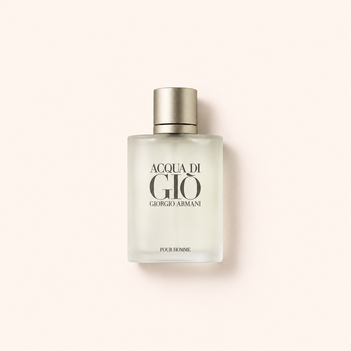 Giorgio Armani Acqua di Gio Pour Homme 100 ml