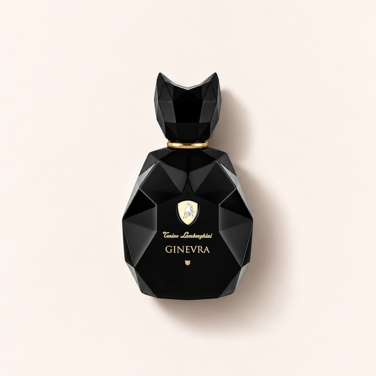 Lamborghini Ginevra Black 100 ml – MrRizz