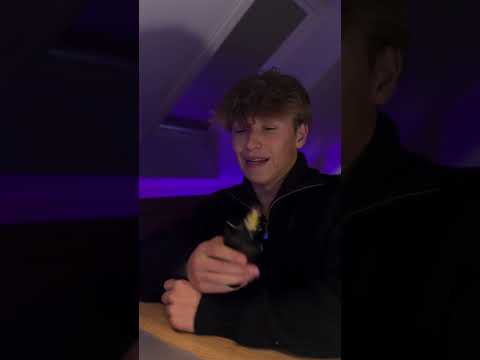 Jean Paul Gaultier Le Male Le Parfum