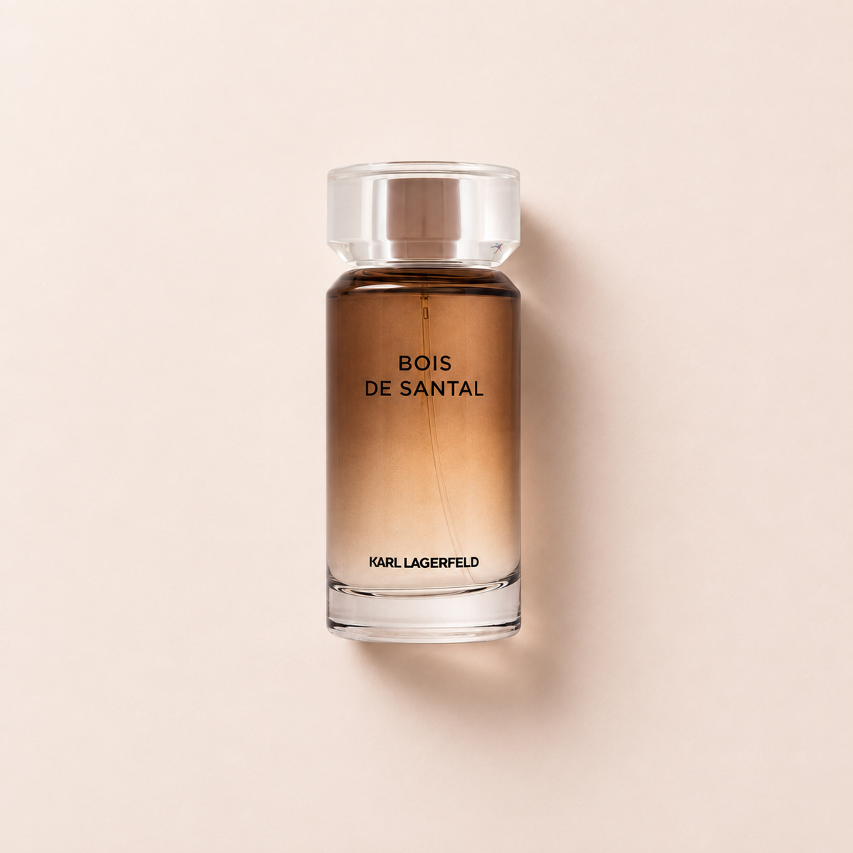 Karl Lagerfeld Les Parfums Matieres Bois de Santal 100 ml – MrRizz